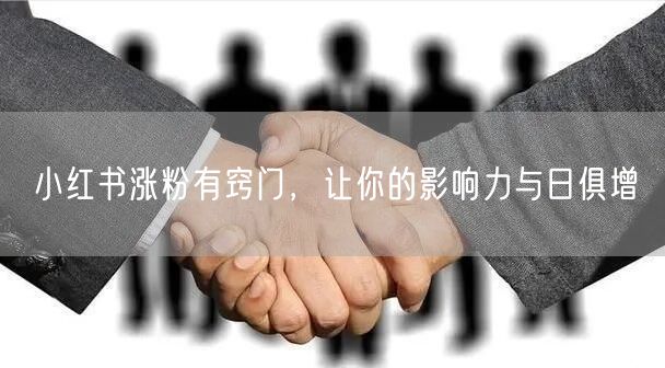 小红书涨粉有窍门，让你的影响力与日俱增
