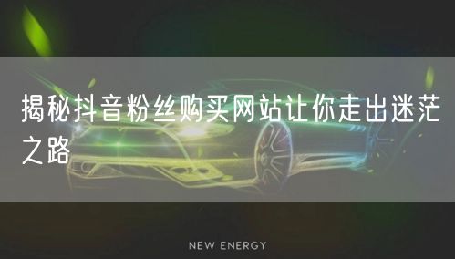 揭秘抖音粉丝购买网站让你走出迷茫之路