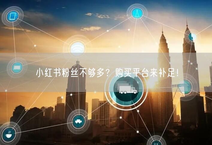 小红书粉丝不够多？购买平台来补足！