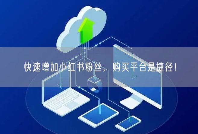 快速增加小红书粉丝，购买平台是捷径！