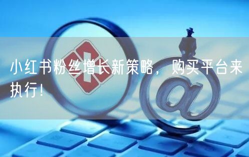 小红书粉丝增长新策略，购买平台来执行！