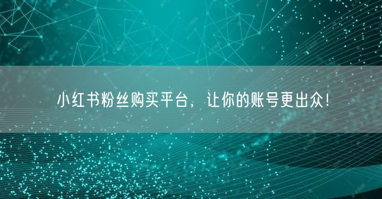 小红书粉丝购买平台，让你的账号更出众！