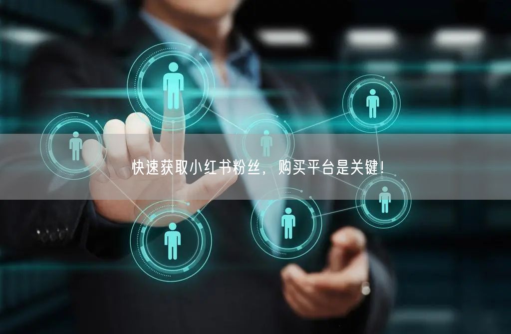 快速获取小红书粉丝，购买平台是关键！