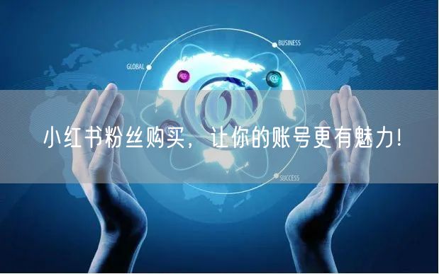 小红书粉丝购买，让你的账号更有魅力！