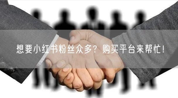 想要小红书粉丝众多？购买平台来帮忙！
