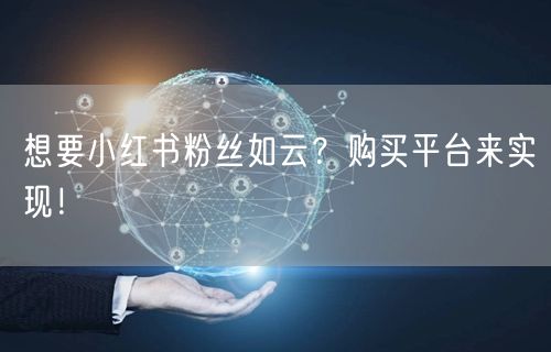 想要小红书粉丝如云？购买平台来实现！