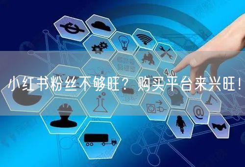 小红书粉丝不够旺？购买平台来兴旺！
