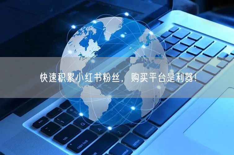 快速积累小红书粉丝，购买平台是利器！