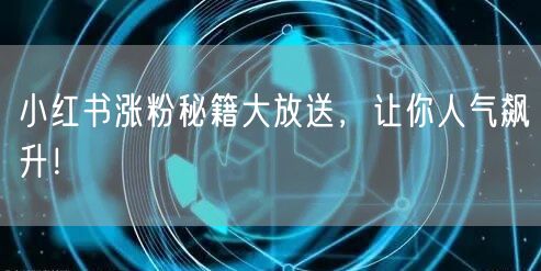 小红书涨粉秘籍大放送，让你人气飙升！