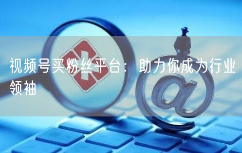 视频号买粉丝平台：助力你成为行业领袖
