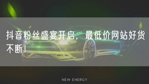 抖音粉丝盛宴开启，最低价网站好货不断！